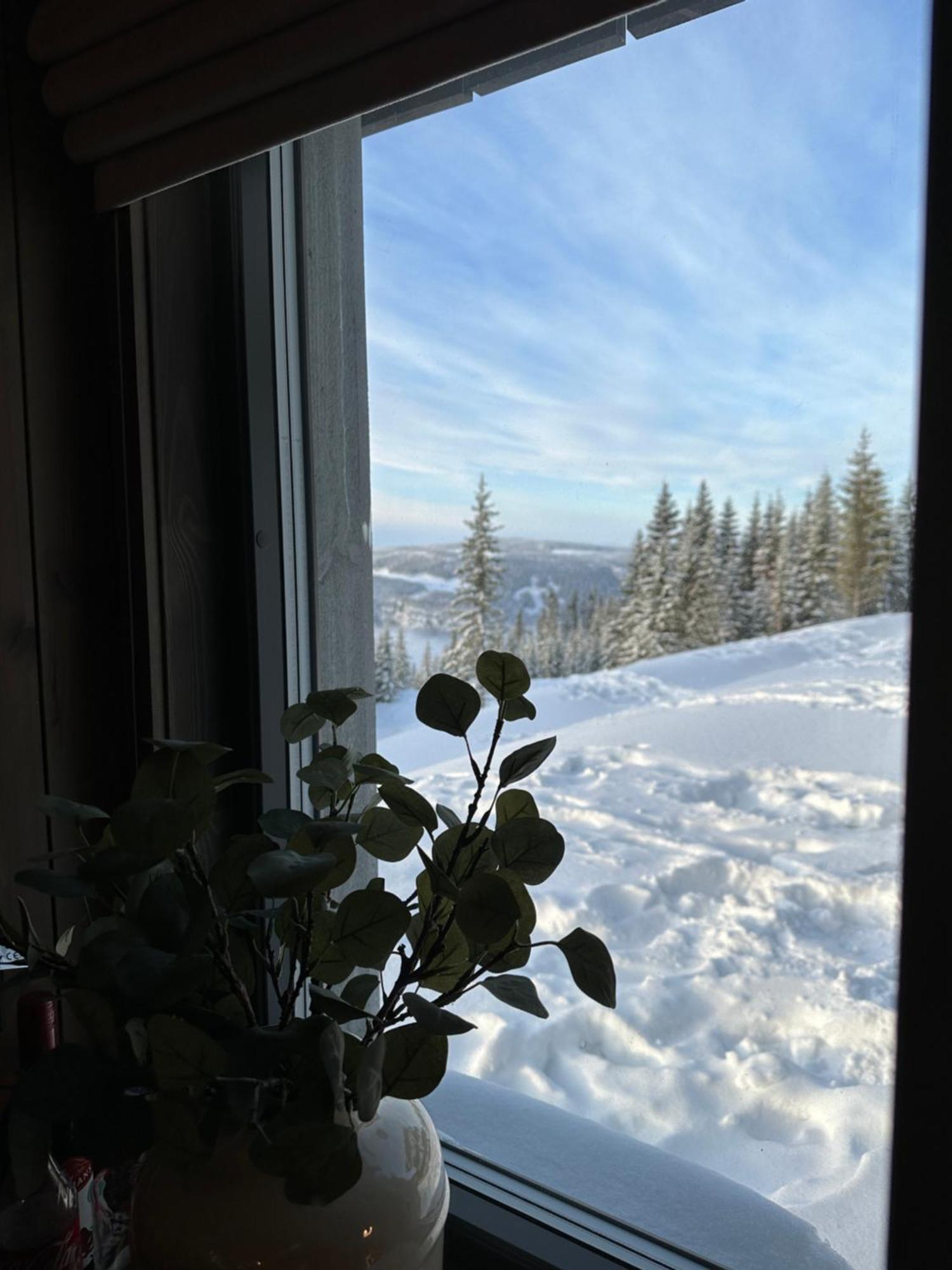 Hafjell Front 8Pers, Ski In/Out. Downhill Bike 外观 照片